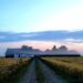 Sunrise at Dalhemfarm | Soluppgång Dalhemfarm